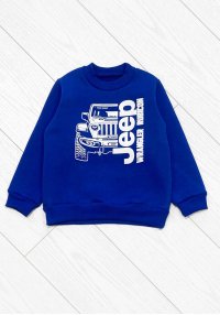 Світшот для хлопчика теплий джип синій тринитка