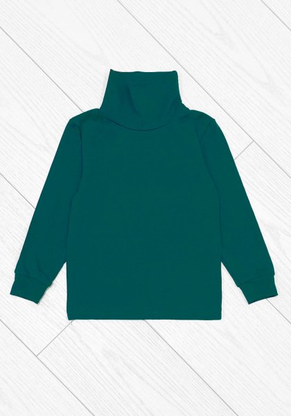 Водолазка для мальчика тонкая темно-зеленая фуликра