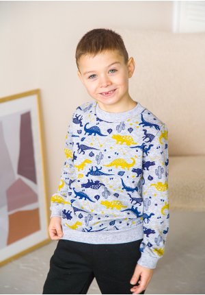 Світшот для хлопчика синій з жовтим Діно футер