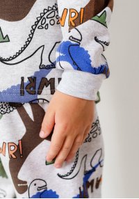 Пижама для мальчика теплая Дино краски серая начес