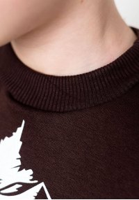 Свитшот для мальчика теплый горы коричневый трехнитка