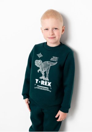 Свитшот для мальчика теплый динозавр зеленый трехнитка