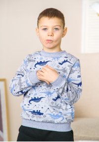 Свитшот для мальчика синий Дино начес