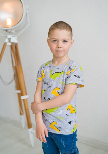 Футболка детская серая Дино