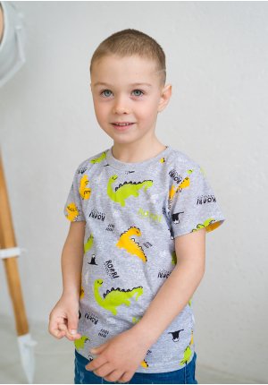 Футболка детская серая Дино