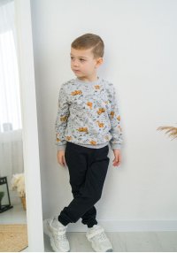 Світшот для хлопчика Діно жовті футер