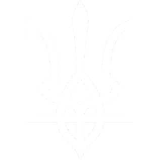 Дитячі патріотичні футболки 