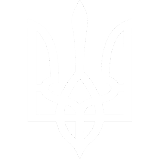 Дитячі патріотичні футболки 